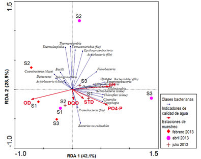 Diversidad Estructural Y Funcional De Las Comunidades Bacterianas De