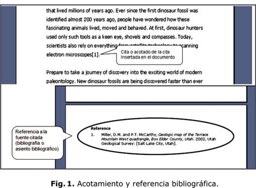 ejemplos de referencias bibliograficas en un texto