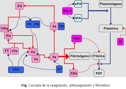 Fig. Cascada de la coagulación, anticoagulación y fibrinólisis