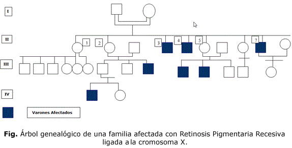 Fig. Árbol genealógico de una familia afectada con Retinosis Pigmentaria Recesiva ligada a la cromosoma X