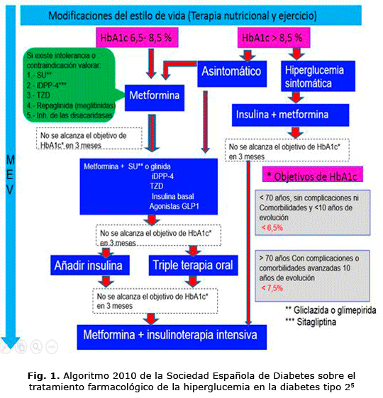 Fig. 1. Algoritmo 2010 de la Sociedad Española de Diabetes sobre el tratamiento farmacológico de la hiperglucemia en la diabetes tipo 2