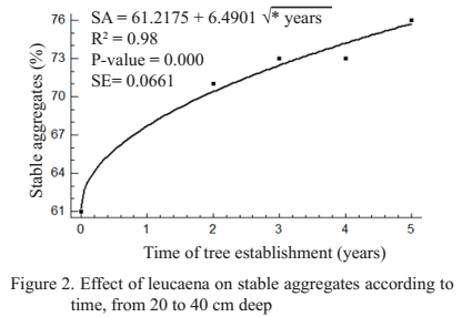 Figure 2. Effect of leucaena on stable aggregates according to time, from 20 to 40 cm deep