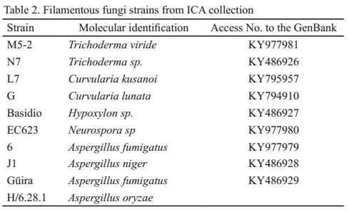 Table 2. Filamentous fungi strains from ICA collection