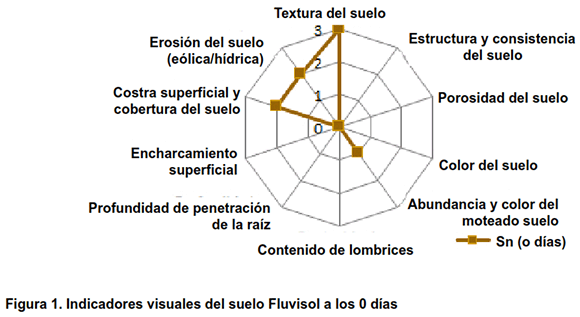 Figura 1. Indicadores visuales del suelo Fluvisol a los 0 días 
