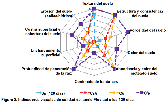 Figura 2. Indicadores visuales de calidad del suelo Fluvisol a los 120 días