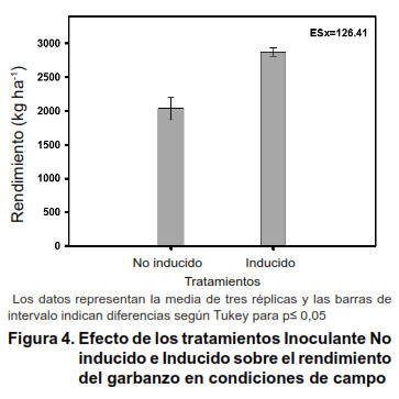 Figura 4. Efecto de los tratamientos Inoculante No inducido e Inducido sobre el rendimiento del garbanzo en condiciones de campo