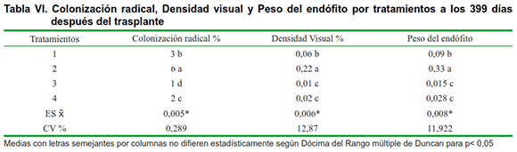 Tabla VI. Colonización radical, Densidad visual y Peso del endófito por tratamientos a los 399 días después del trasplante