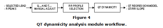 Figure 4. QT dynamicity analysis module workflow.