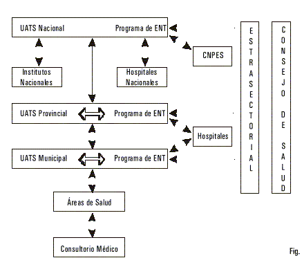 Fig. 2. Organización y flujograma.