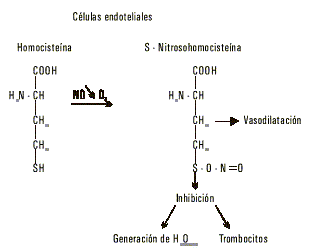 Fig.4. Reacción del óxido nítrico (NO) en presencia de oxígeno