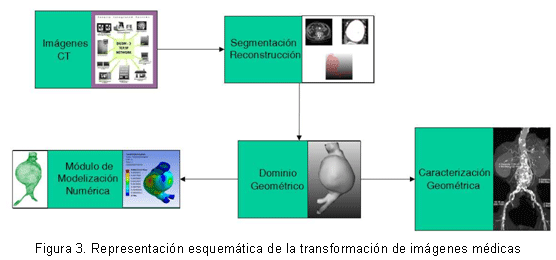 Figura 3. Representación esquemática de la transformación de imágenes médicas