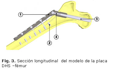 Fig. 3. Sección longitudinal  del modelo de la placa 