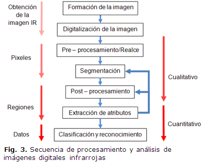 Fig. 3. Secuencia de procesamiento y análisis de imágenes digitales infrarrojas