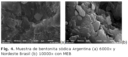 Fig. 4. Muestra de bentonita sódica Argentina (a) 6000x y Nordeste Brasil (b) 10000x con MEB