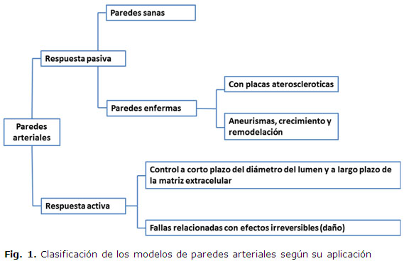Fig. 1. Clasificación de los modelos de paredes arteriales según su aplicación.