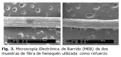 Fig. 3. Microscopía Electrónica de Barrido (MEB) de dos muestras de fibra de  henequén utilizada como refuerzo