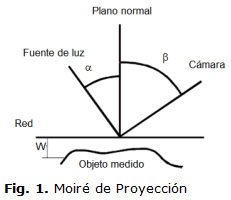 Fig. 1. Moiré de Proyección