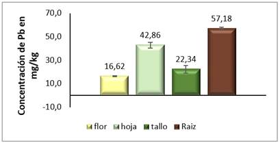 Determinaci N De Los Coeficientes De Fitorremediaci N De Cadmio Y Plomo