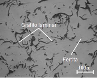 Acuerdo Leo Un Libro Misterio Que Es El Hierro Gris Robo Identidad