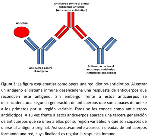inmunologia de rojas pdf 12