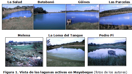 Figura 1. Vista de las lagunas activas en Mayabeque (fotos de los autores)