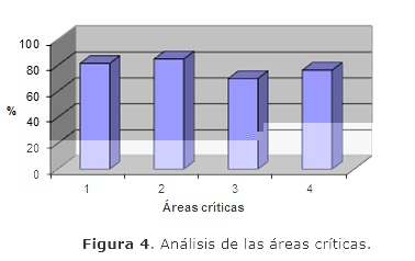 Figura 4. Análisis de las áreas críticas.