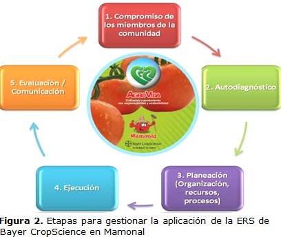 Figura 2. Etapas para gestionar la aplicación de la ERS de  Bayer CropScience en Mamonal  