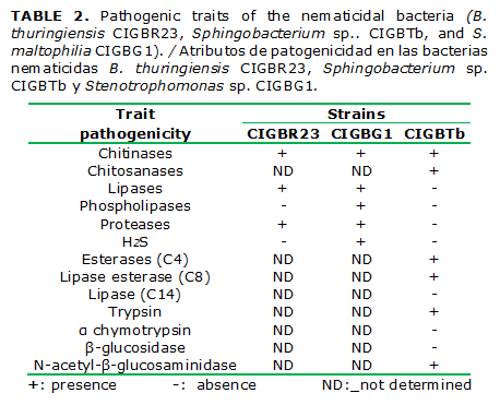 TABLE 2. Pathogenic traits of the nematicidal bacteria (B. thuringiensis CIGBR23, Sphingobacterium sp.. CIGBTb, and S. maltophilia CIGBG1). / Atributos de patogenicidad en las bacterias nematicidas B. thuringiensis CIGBR23, Sphingobacterium sp. CIGBTb y Stenotrophomonas sp. CIGBG1.